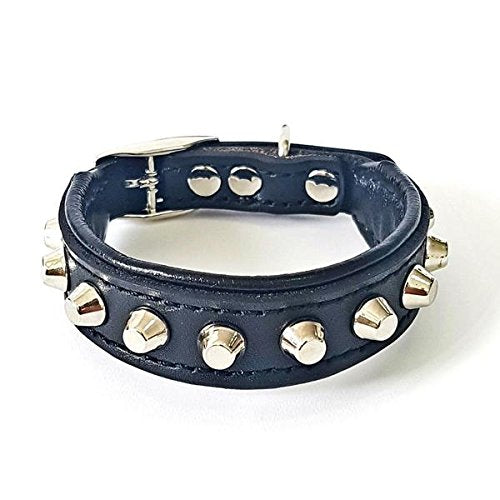 Bestia™ "Rocky Echtleder Hundehalsband mit Stumpfnieten. 100% Leder. Weich gepolstert. TOP Qualität!