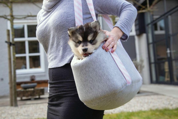 Designed by Lotte Beeztees Tragetasche für Welpen, 45 x 24 x 26 cm, Grau
