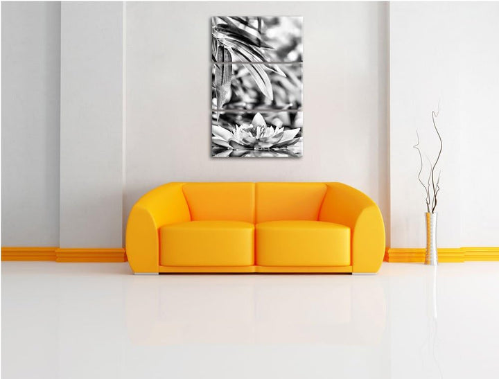 Pixxprint Weisse Seerose im Wasser Wellness als Leinwandbild/Grösse: 3 Teilig (120x80) cm/Wandbild/K