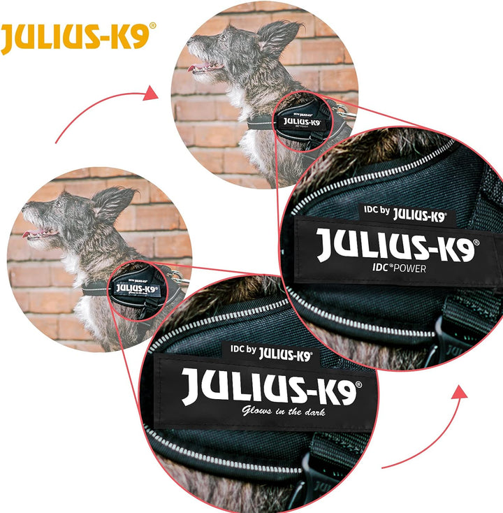 Julius-K9 16IDC-PBGHS-2 IDC Powergeschirr, Hundegeschirr mit Front Control Y-Gurt, Grösse: XL/2, Sch