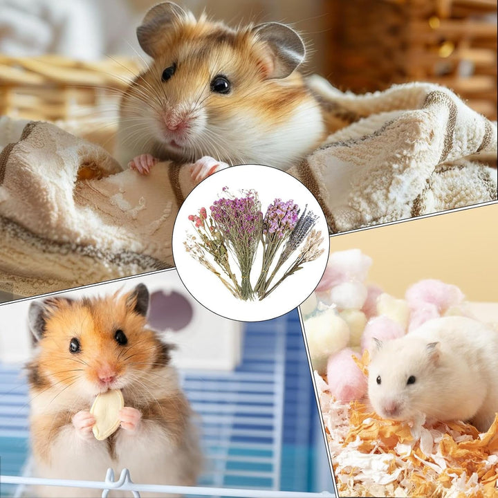 Trockenblumen-Bettwäsche für Hamster, natürliche Hamster-Bettwäsche, Kleintierblumen, Lebensraum-, L