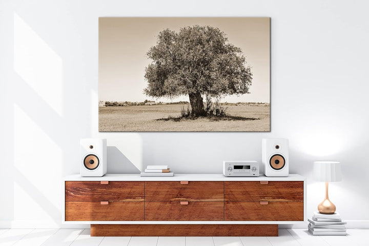 deyoli himmlicher einsamer Baum Format: 60x40 cm Effekt: Sepia als Leinwandbild, Motiv fertig gerahm