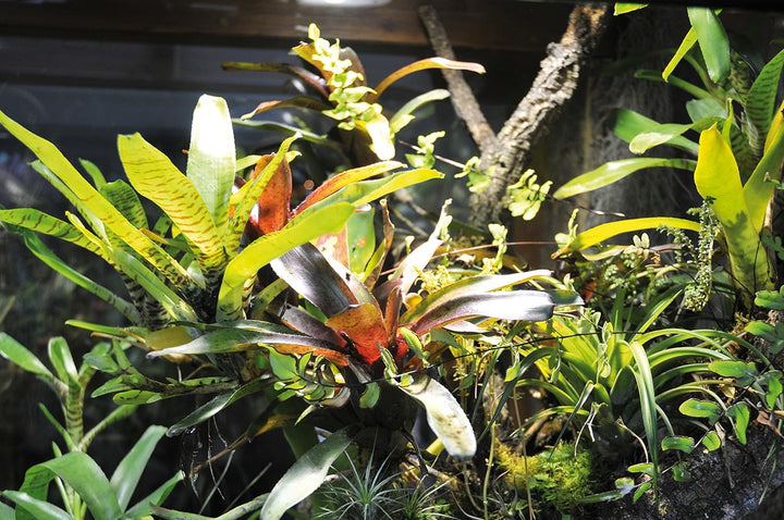 Lucky Reptile TF-1 Terra Fan Lüfterset für Terrarien, TF-1 Terra Fan