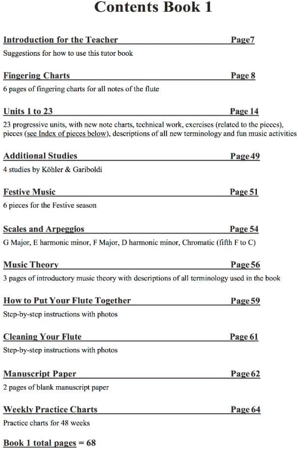 The Young Flute Player Book 1