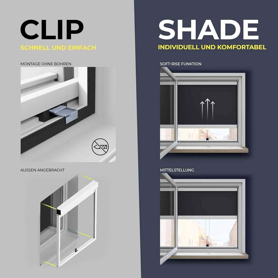 CLIP&