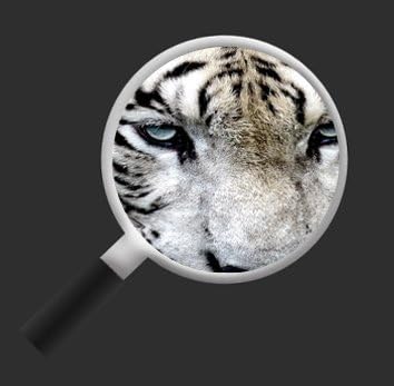 islandburner Bild Bilder auf Leinwand Bengalischer Tiger V2 4L XXL Poster Leinwandbild Wandbild Deko