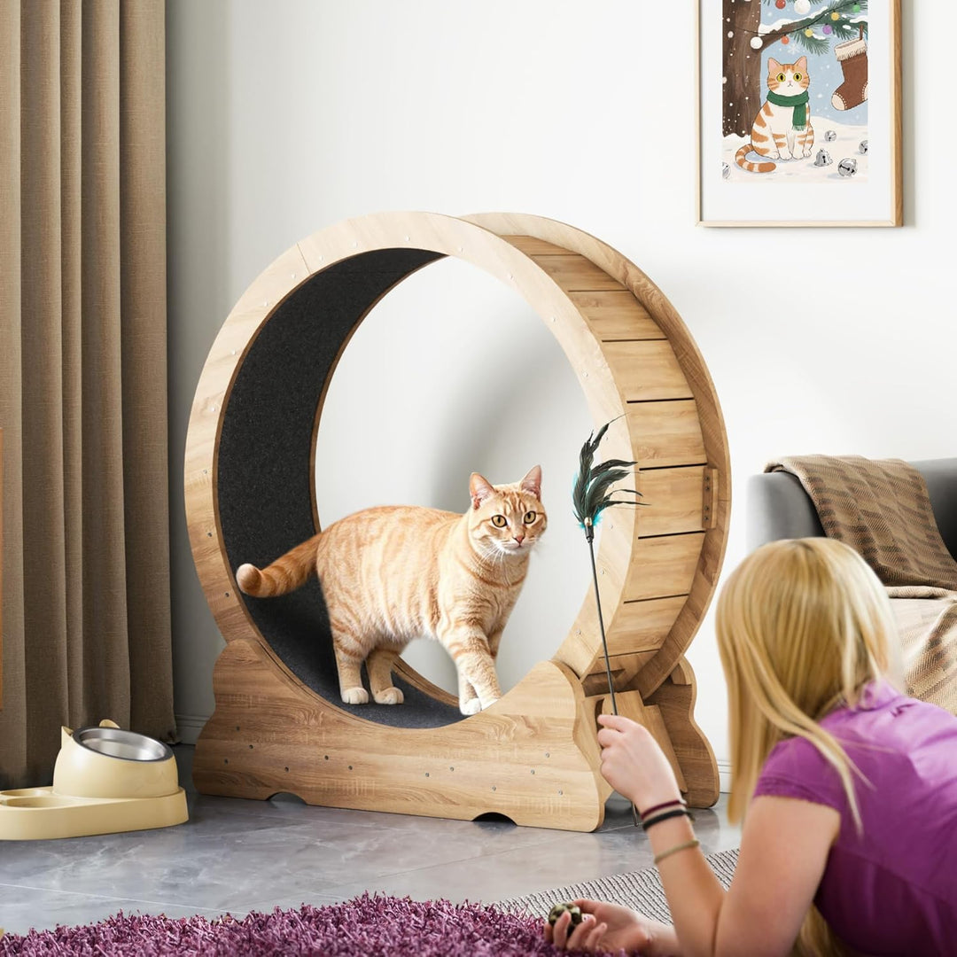 Mondeer Katzenlaufrad, 90cm Laufband mit Abnehmbaren Teppichboden für Indoor Katzen, für Kleines Mit