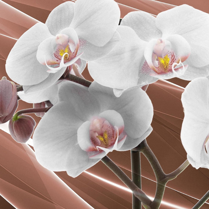 Runa Art Wandbilder Blumen Orchidee Bild XXL Wohnzimmer Schlafzimmer Beige Braun Abstrakt 120 x 80 c