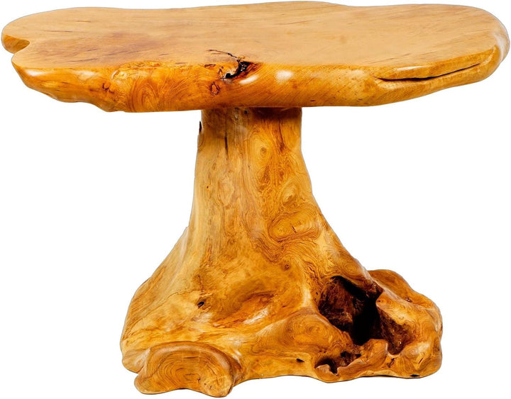 Windalf Schlanker Couchtisch Siva 77 cm Eleganter Natur Wohnzimmertisch Handarbeit aus Wurzelholz