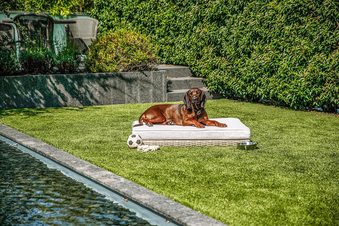greemotion PET Hundebett aus Polyrattan inklusive Kissen, ca. 95 x 15 x 65 cm, S
