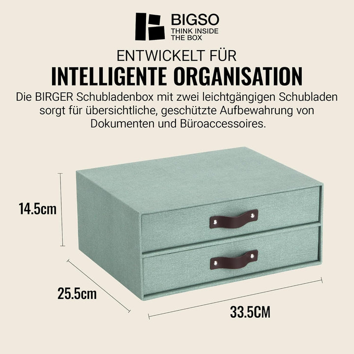 BIGSO BIRGER Schubladenbox – Aufbewahrungsbox mit 2 Schubladen – Schreibtisch Ablage für Dokumente &