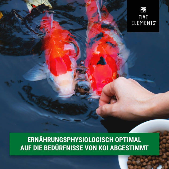 FIVE ELEMENTS® Koi Sink Plus | 9,0 kg | optimal für Herbst und Winter | sinkendes Koi-Futter | ideal