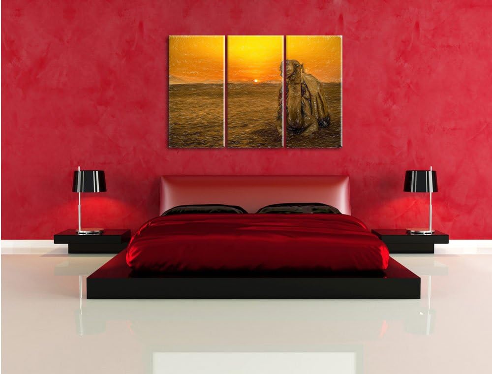 Pixxprint Kamel in ägyptischer Wüste als Leinwandbild/Grösse: 3 Teilig (120x80 cm) cm/Wandbild/Kunst