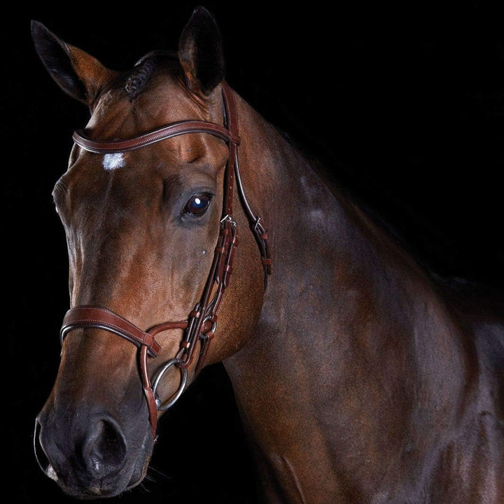 Collegiate ComFiTec Training Snaffle Bridle Full Braun, Full Braun