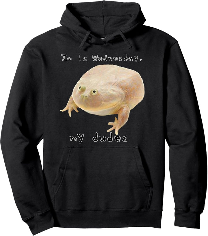 Es ist Mittwoch My Dudes | Klassisches lustiges Frosch-Meme Pullover Hoodie