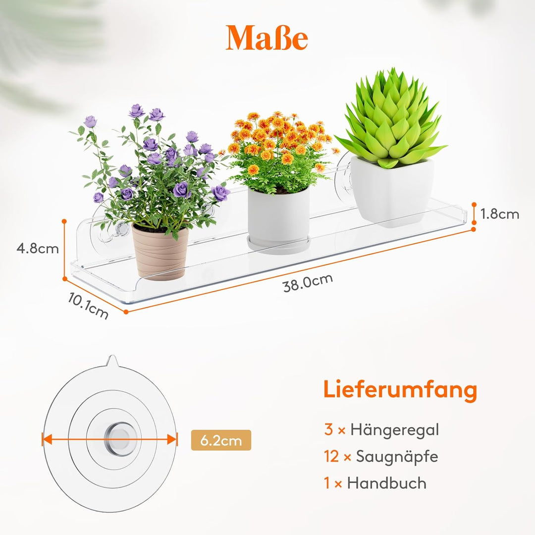 Lifewit Fenster Pflanzenregale, 3 Stück, 38cm, Transparent Regal Saugnapf, Fensterwand Pflanzenständ