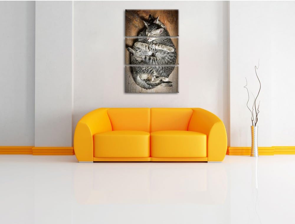 Pixxprint Kuschelnde Katzen 3-Teiler Leinwandbild 120x80 Bild auf Leinwand