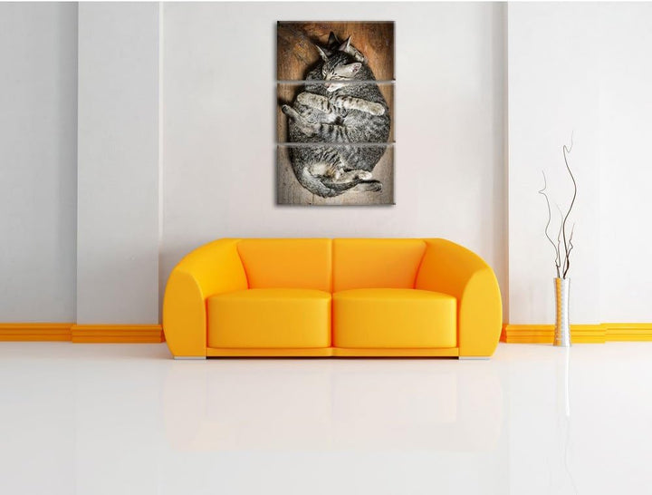 Pixxprint Kuschelnde Katzen 3-Teiler Leinwandbild 120x80 Bild auf Leinwand