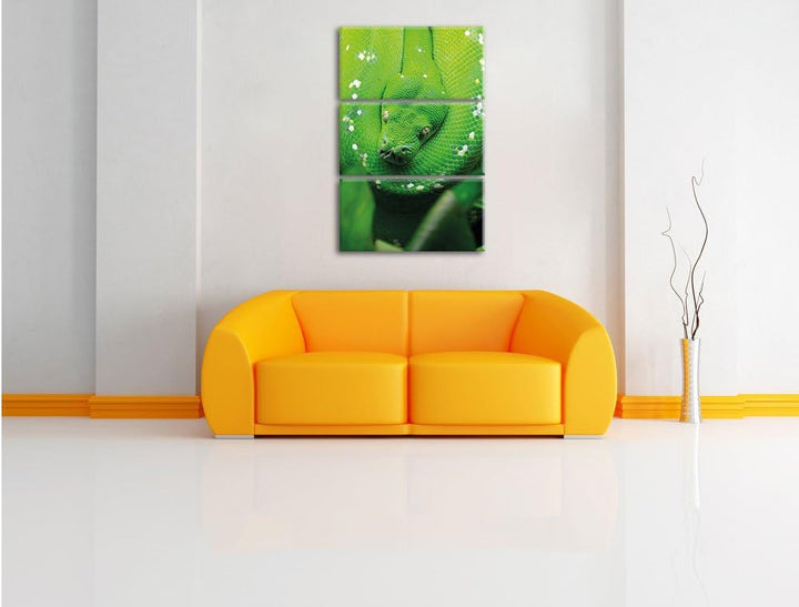 Pixxprint Grüne giftige Schlange als Leinwandbild/Grösse: 3 Teilig (120x80) cm/Wandbild/Kunstdruck/f