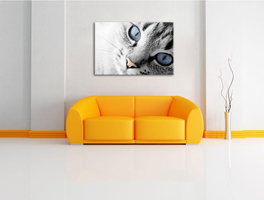 schöne Katzenaugen schwarz/weiss Format: 100x70 auf Leinwand, XXL riesige Bilder fertig gerahmt mit