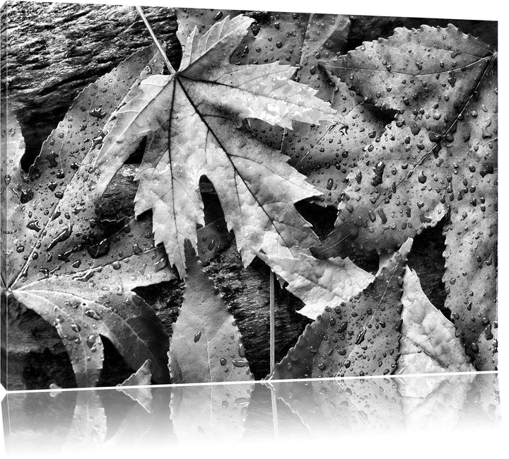 Pixxprint Bunte Herbstblätter / 100x70cm Leinwandbild bespannt auf Holzrahmen/Wandbild Kunstdruck De