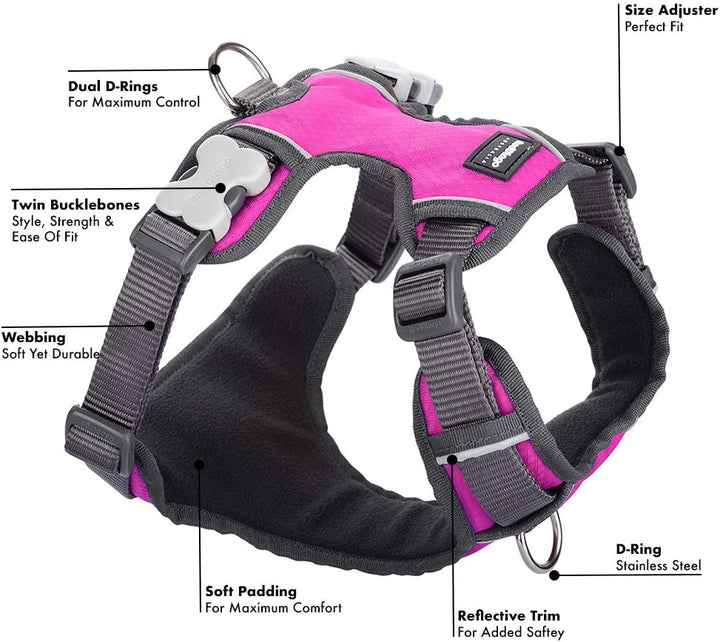 Red Dingo DH-PH-HP-ME Hundegeschirr, gepolstert, Grösse M, Hot Pink hot pink Medium, hot pink Medium