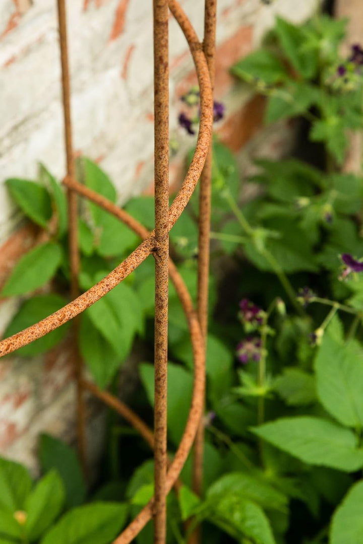 KUHEIGA Rankhilfe, Rankgerüst, Rost, Höhe: 200 cm, Volleisen Rankgitter halbrund