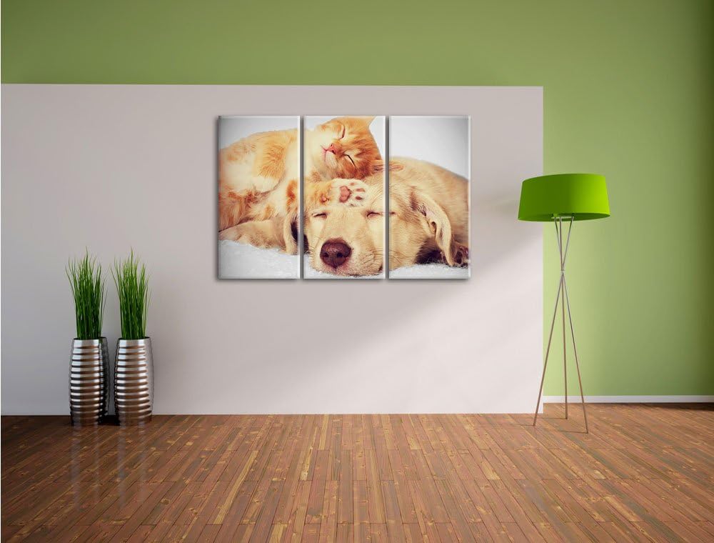 Pixxprint Kätzchen und Welpe schlafen B&W Detail 3-Teiler Leinwandbild 120x80 Bild auf Leinwand