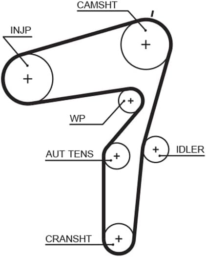 GATES Steuerriem 5600XS