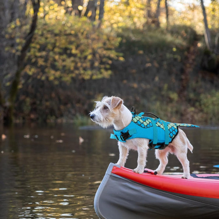 CITÉTOILE Hunde Schwimmweste Hai, Schwimmweste für Kleine Mittlere und Grosse Hunde, Hund Rettungswe