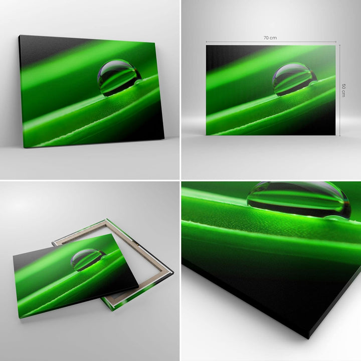 Bilder auf Leinwand Pflanze Tropfen Wasser Blase Leinwandbild 70x50cm Wandbilder Dekoration Wohnzimm