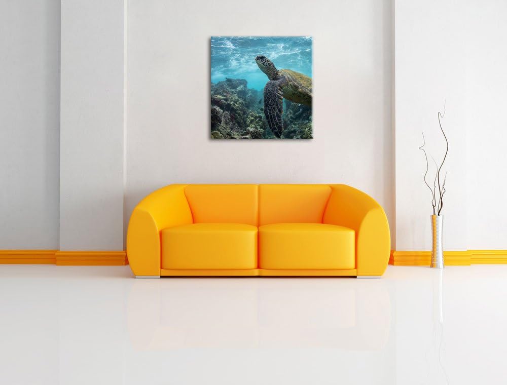 Schildkröte im Pazifik, Format: 70x70 auf Leinwand, XXL riesige Bilder fertig gerahmt mit Keilrahmen