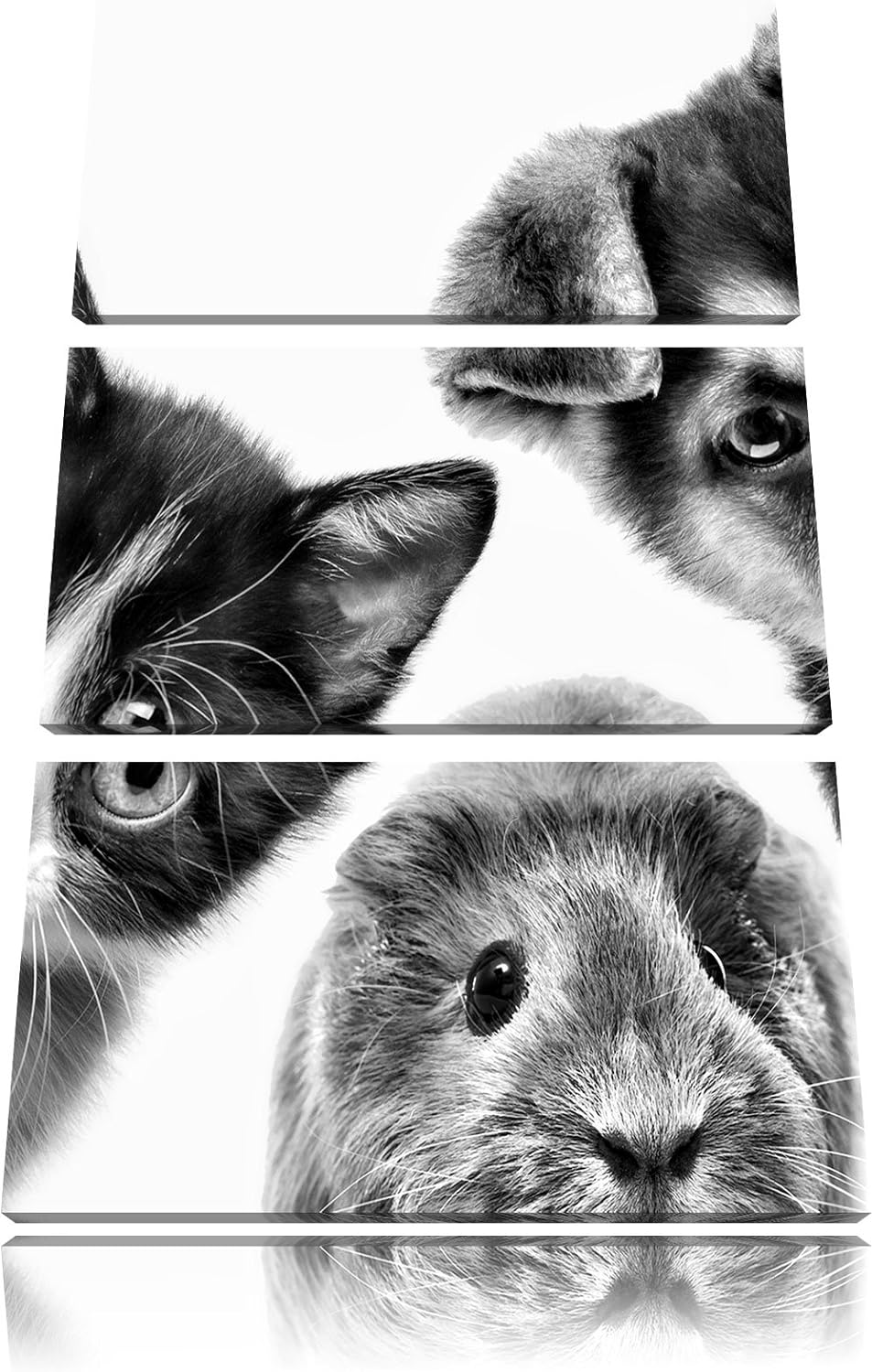 Pixxprint Trio Hund Katze Meerschwein als Leinwandbild/Grösse: 3 Teilig (120x80 cm) cm/Wandbild/Kuns