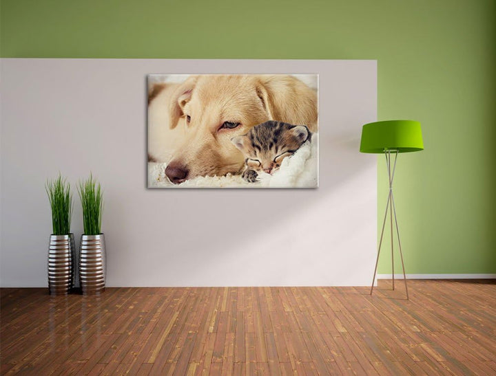 Pixxprint Träumendes Kätzchen neben Hund als Leinwandbild/Grösse: 100x70 / Wandbild/Kunstdruck/ferti