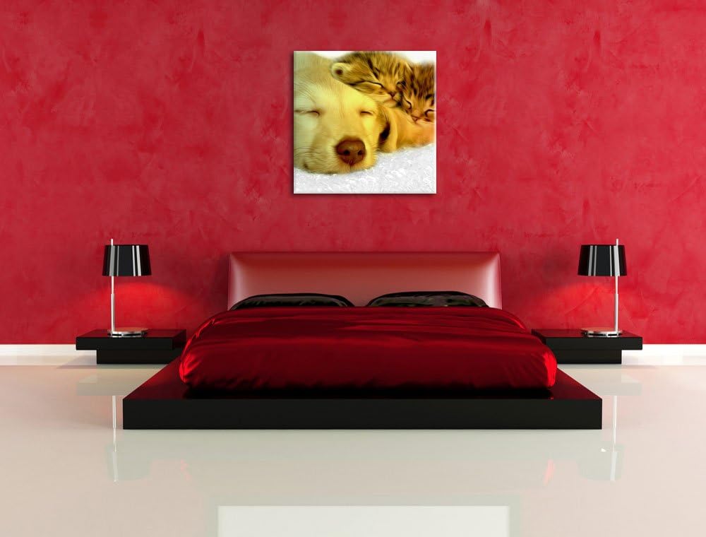 Pixxprint niedlicher Welpe kuschelt mit süssen Kätzchen schwarz/weiss, Format: 70x70 auf Leinwand, X