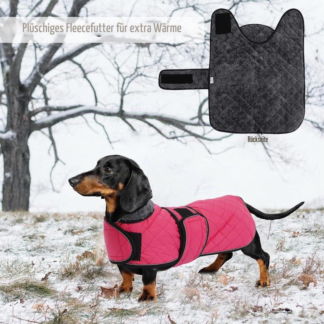 Geyecete - Warmer wintermantel für dackel Hunde,Hunde Winterjacken mit plüschfutter,Outdoor jacken m