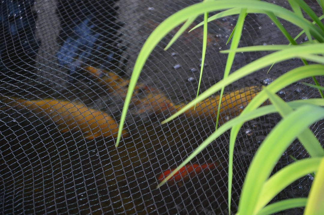 Schutznetz Grösse 4 x 25 m, Schutz vor Vögeln, Laub im Teich, vielseitig, grün, Maschenweite 12 mm,