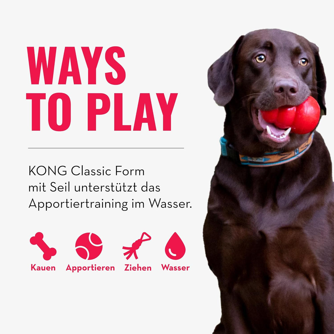 KONG Aqua Floating Fetch Toy - Hundespielzeug Für Wasser, Spiel und Training - Mit Schaumstoff-Innen