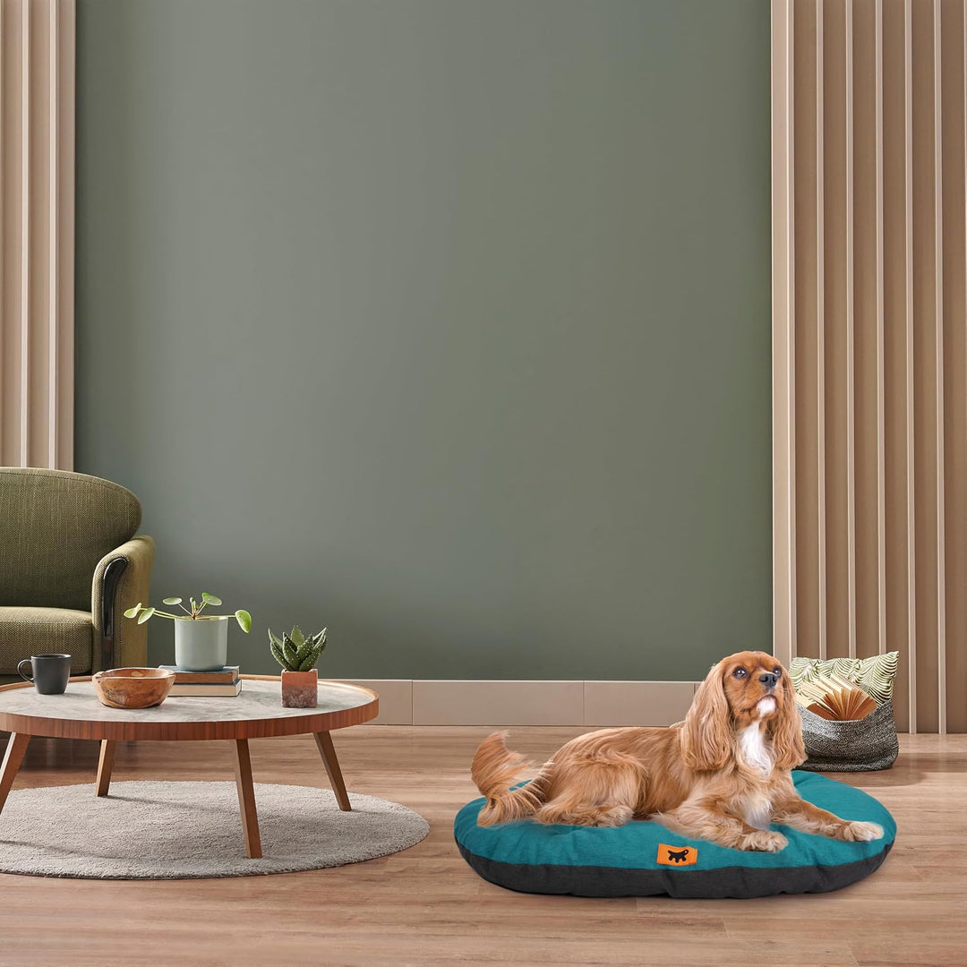 Ferplast Hundebett Relax, Hundekissen, Katzenkissen, Hundematte für Hundehütten und Autos – waschbar