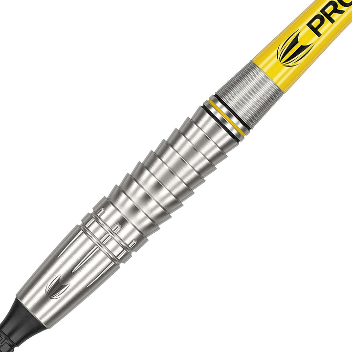 Target Darts Unisex-Adult Scott Williams 1. Gen. 90% Wolfram Softdarts-Set Dartpfeile, Silber und Ge
