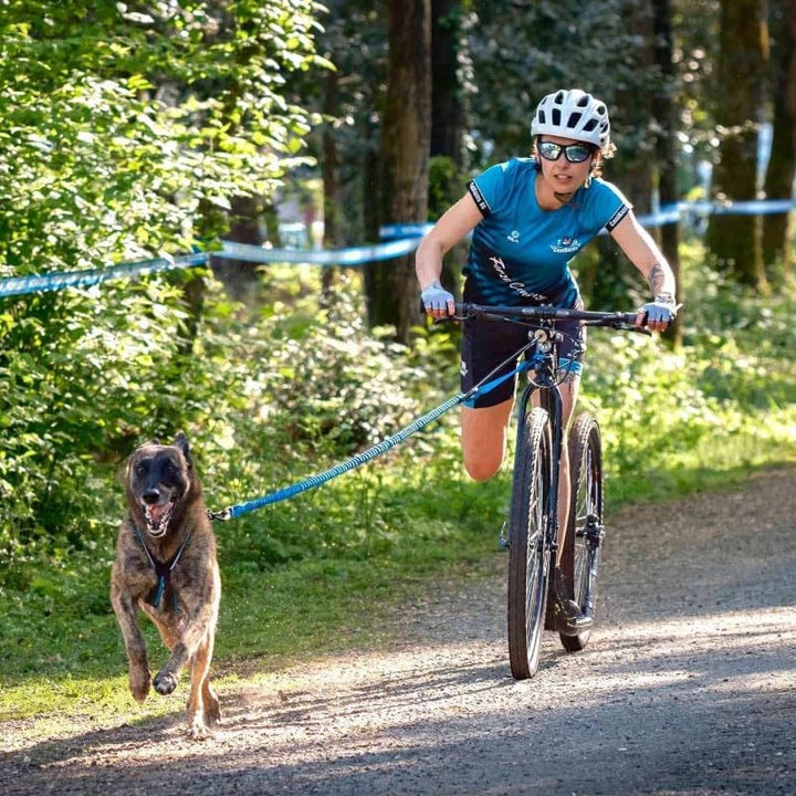 Inlandsis Bikejor Pro Leash Long Cani-Mountainbike-Leine 1.65m rot, 1.65m rot