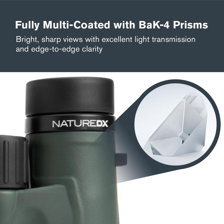 Celestron 71330 8 x 32 DX Nature Fernglas – Grün