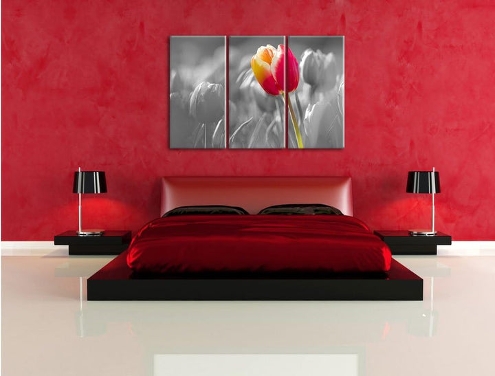 Pixxprint Blühende rote Tulpen als Leinwandbild/Grösse: 3 Teilig (120x80) cm/Wandbild/Kunstdruck/fer