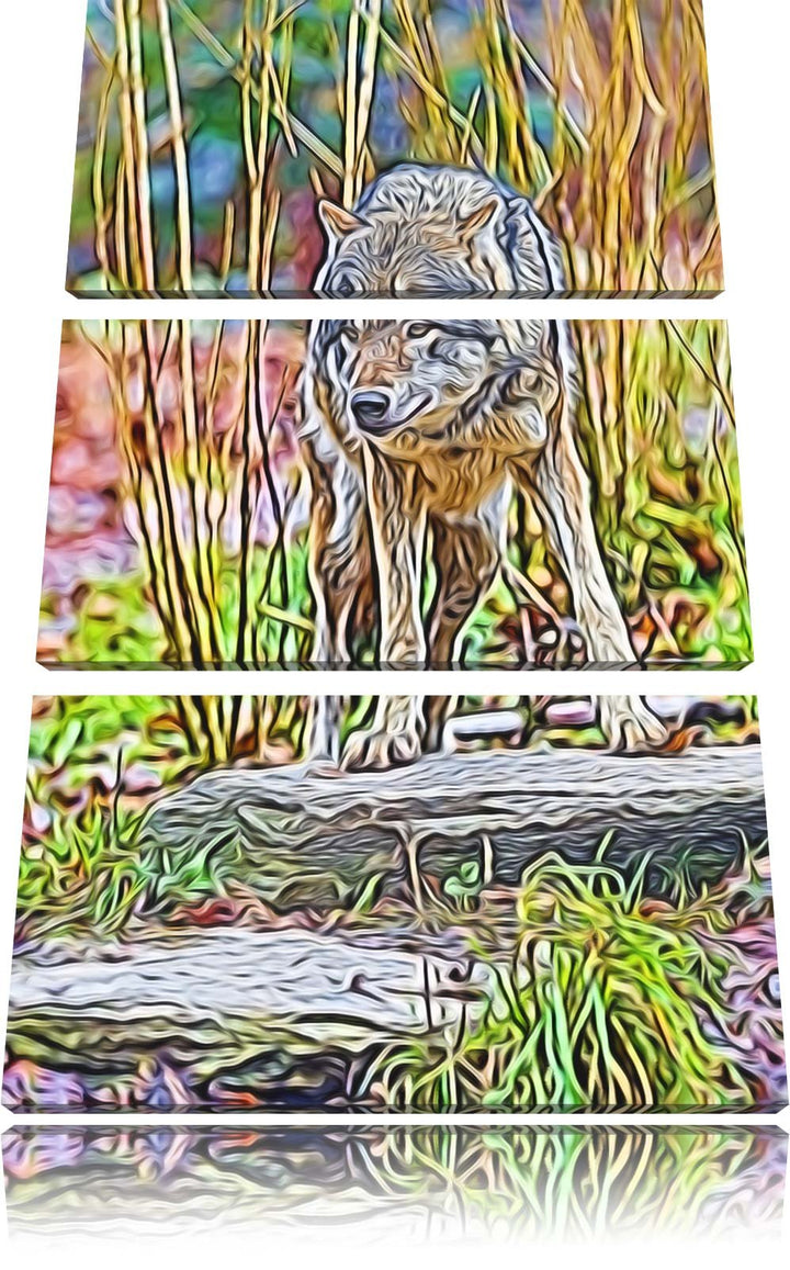 lauernder Wolf Spezial 3-Teiler Leinwandbild 120x80 Bild auf Leinwand, XXL riesige Bilder fertig ger