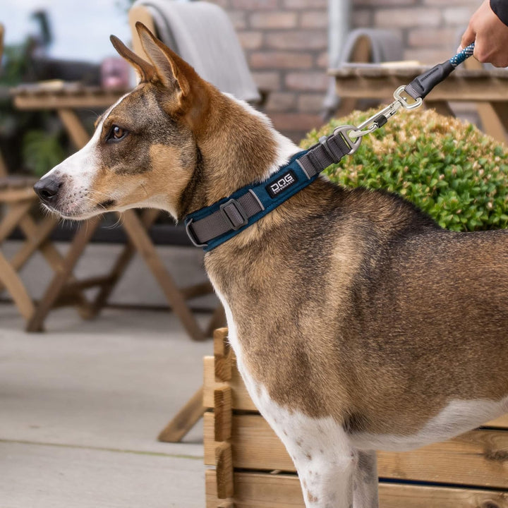 DOG Copenhagen Hundehalsband V2 Urban Explorer Collar Purple Passion Grösse L/XL L/XL Purple Passion
