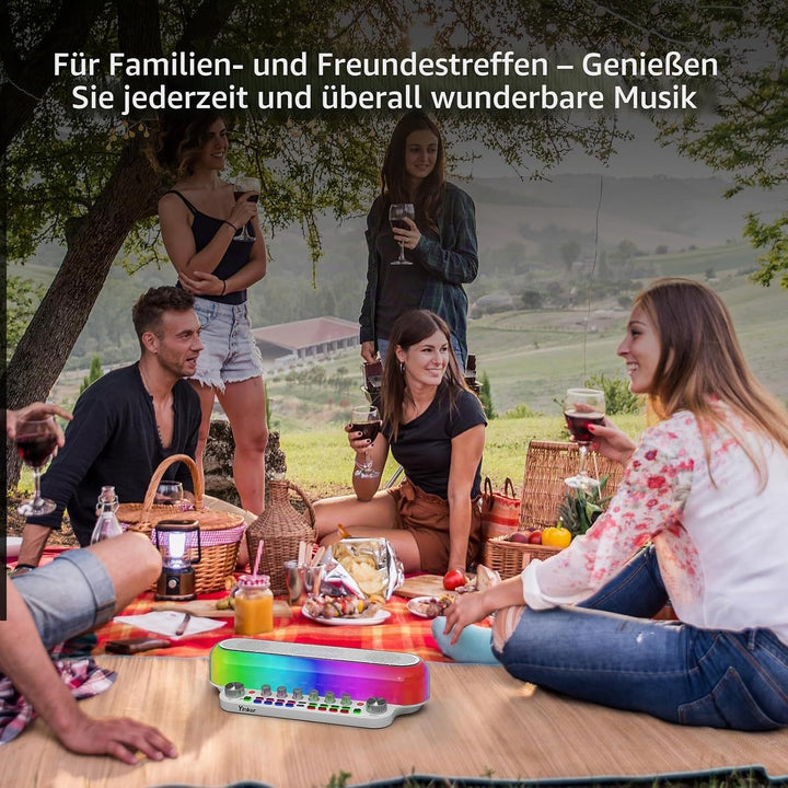 Audio Mixer Bluetooth Maschine mit 2 Kabellose Mikrofones Tragbarer Karaoke Lautsprecher, Live Sound