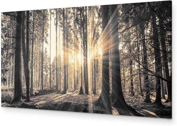 murando - Bilder Wald 135x45 cm Vlies Leinwandbild 1 tlg Kunstdruck modern Wandbilder XXL Wanddekora