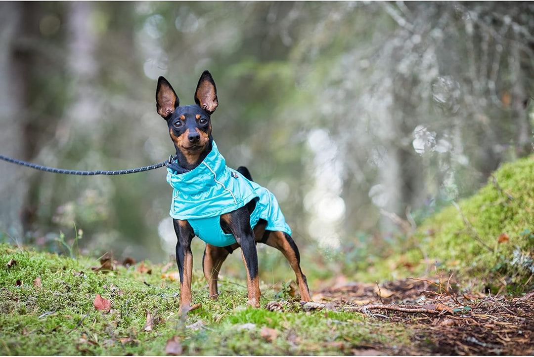 Rukka Pets HASE Regenmantel für Hunde Tuerkis 55 55 Tuerkis, 55 Tuerkis