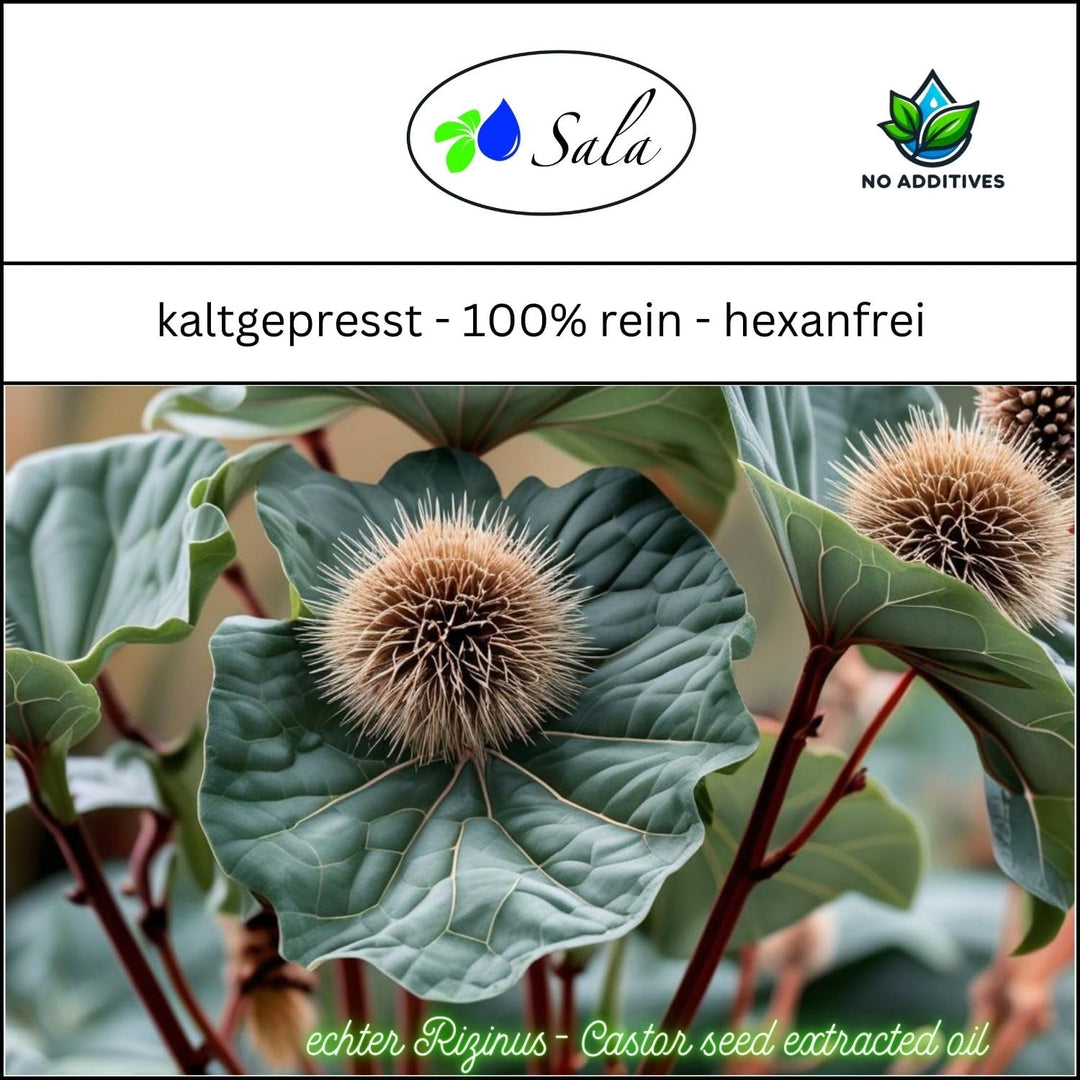Sala Rizinusöl kaltgepresst BIO 1 L 1000 ml Glasflasche Rizinusöl kaltgepresst bio 1 l (1er Pack), R