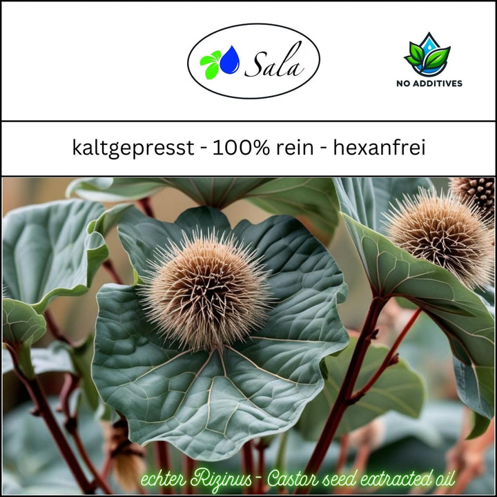 Sala Rizinusöl kaltgepresst BIO 1 L 1000 ml Glasflasche Rizinusöl kaltgepresst bio 1 l (1er Pack), R